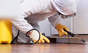 Best Pest Prevention Services  in Phoenix, NY